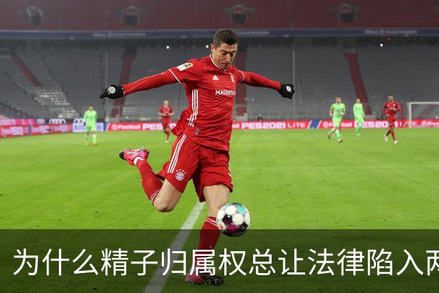 为什么精子归属权总让法律陷入两难境地