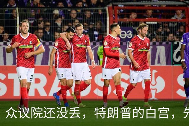 众议院还没丢，特朗普的白宫，先乱成了一锅粥