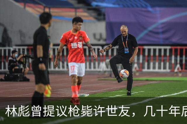 林彪曾提议枪毙许世友，几十年后身份互换，许世友负责抓捕林彪！