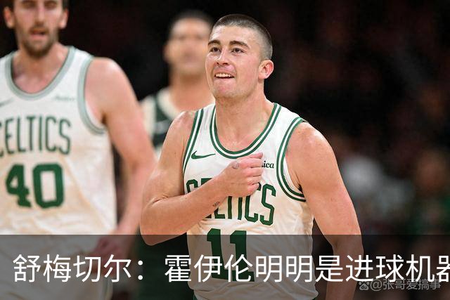 舒梅切尔：霍伊伦明明是进球机器，维韦尔来了偏要换成谢什科
